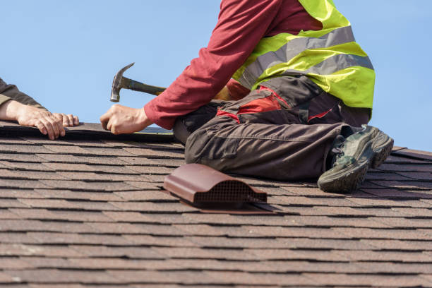Best Local Roofing Companies  in Dunnavant, AL