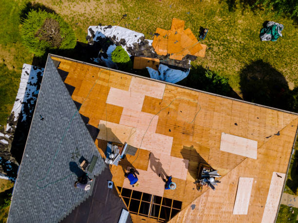 Best Residential Roofing Contractor  in Dunnavant, AL