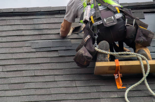Best Storm Damage Roof Repair  in Dunnavant, AL