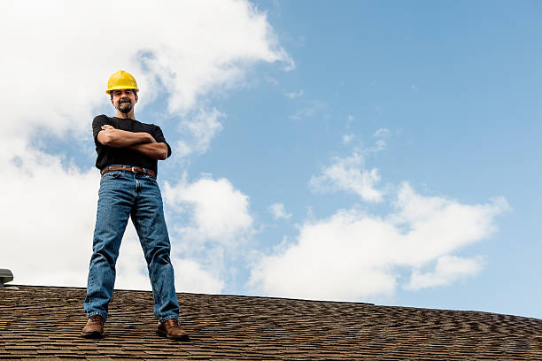Best Roof Gutter Cleaning  in Dunnavant, AL