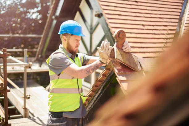 Best Local Roofing Companies  in Dunnavant, AL