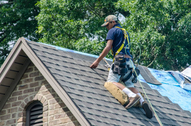 Best New Roof Installation  in Dunnavant, AL